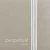 P333450 Pirastro Perpetual Edition cello string C-4 medium, rope core, tungsten