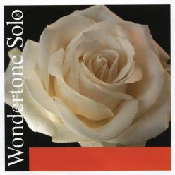   P410021 Pirastro Wondertone Solo violin string set medium, with E-ball end