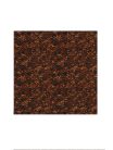 PG-233-RBP Boston  pickguard material, 2 ply, 30x29cm, tiger brown pearl