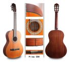 Prima C/SN Salvador Student Series classic guitar cedar + sapele, open pore finish - SENORITA 630mm scale