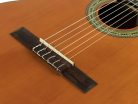 Prima C Salvador Student Series classic guitar cedar + sapele, open pore finish