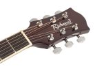 RA-12-CESB Richwood Artist Series acoustic guitar, auditorium model, active EQ, die cast machine heads, sunburst