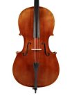 RC-1012 Rudolph Elementary cello 1/2, all solid, oil varnish, ebony fittings, flamed