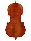 RC-1012 Rudolph Elementary cello 1/2, all solid, oil varnish, ebony fittings, flamed