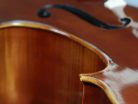 RC-1012 Rudolph Elementary cello 1/2, all solid, oil varnish, ebony fittings, flamed