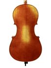 RC-2044-EU Rudolph Conservatoire cello 4/4, all solid, oil varnish with light brown finish, European woods