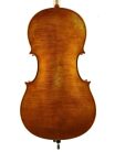 RC-2044 Rudolph Conservatoire cello 4/4, all solid, oil varnish with amber brown finish, flamed