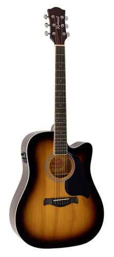 RD-12-CESB Richwood Artist Series acoustic guitar, dreadnought model, active EQ, die cast machine heads, sunburst