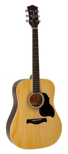 RD-12 Richwood Artist Series acoustic guitar, dreadnought model, die cast machine heads, natural