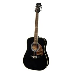   RD-16-BK Richwood Artist Series acoustic guitar, dreadnought model, solid top, black, die cast machine heads,