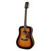 RD-16-SB Richwood Artist Series acoustic guitar, dreadnought model, solid top, sunburst, die cast machine heads.