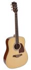 RD-17 Richwood Artist Series acoustic guitar, dreadnought model, solid top, natural