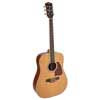 RD-17C Richwood Artist Series acoustic guitar, dreadnought model, solid cedar top, natural