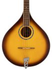 RIBZ-40/SB Richwood Heritage Series Irish bouzouki with solid spruce top, sapele sides and back, open pore sunburst