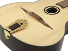 RM-150-NT Richwood  Hot Club Solid O jazz guitar, solid sitka spruce top, natural, O-shaped sound hole