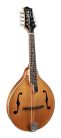 RMA-110-VS Richwood Heritage Series A-style mandolin with solid flamed maple body & solid spruce top, amber burst