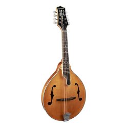   RMA-110-VS Richwood Heritage Series A-style mandolin with solid flamed maple body & solid spruce top, amber burst