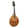 RMA-110-VS Richwood Heritage Series A-style mandolin with solid flamed maple body & solid spruce top, amber burst