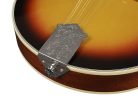 RMA-60-VS Richwood Heritage Series A-style mandolin with spruce top, vintage sunburst