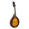 RMA-60-VS Richwood Heritage Series A-style mandolin with spruce top, vintage sunburst