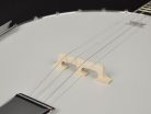 RMB-604 Richwood Heritage Series tenor banjo 4-string, mahogany rim, 24 brackets