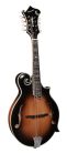 RMF-100-VS Richwood Heritage Series F-style mandolin with solid maple body & solid spruce top, vintage sunburst