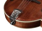 RMF-220-WN Richwood Heritage Series F-style mandolin with solid flamed maple body & solid spruce top, oil varnish walnut