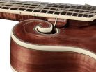 RMF-220-WN Richwood Heritage Series F-style mandolin with solid flamed maple body & solid spruce top, oil varnish walnut