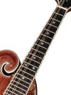 RMF-220-WN Richwood Heritage Series F-style mandolin with solid flamed maple body & solid spruce top, oil varnish walnut