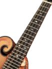 RMF-225-HB Richwood Heritage Series F-style mandolin with solid flamed maple body & solid spruce top, honey blond