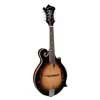 RMF-60-VS Richwood Heritage Series F-style mandolin with spruce top, vintage sunburst