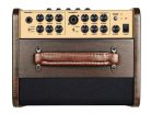 RPF-65 Richwood  acoustic guitar amplifier, 2 channels, chorus/reverb, looper, drums, with dual footswitch