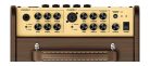 RPF-65 Richwood  acoustic guitar amplifier, 2 channels, chorus/reverb, looper, drums, with dual footswitch