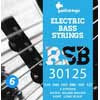 RSB-30125 Galli Rock Star string set electric 6-string bass, nickel roundwound, light, 030-040-060-080-100-125