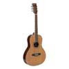 RV-70-NT Richwood  Parlor blues guitar, small size body, 12th fret body joint, natural finish