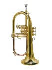 SE-1100-L Stewart Ellis Pro Series fluegelhorn, monel valves, yellow brass lacquer, with soft case