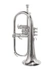 SE-1100-S Stewart Ellis Pro Series fluegelhorn, monel valves, silver plated, with soft case