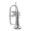 SE-1100-S Stewart Ellis Pro Series fluegelhorn, monel valves, silver plated, with soft case