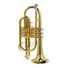 SE-1200-L Stewart Ellis Pro Series cornet, monel valves, yellow brass lacquer, with soft case