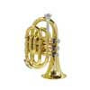 SE-1600-L Stewart Ellis Pro Series pocket trumpet, monel valves, yellow brass lacquer, with soft case