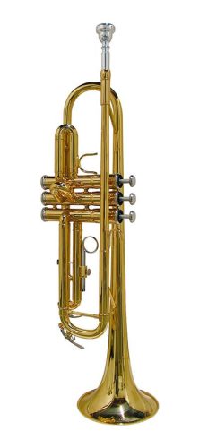 SE-1800-L Stewart Ellis Pro Series trumpet, monel valves, 7C mouth piece, yellow brass lacquer, with soft case