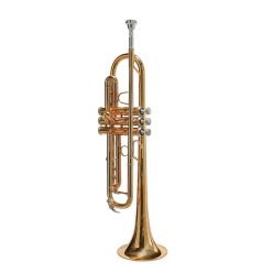   SE-2500-PRO Stewart Ellis Elite Series trumpet, monel valves, mouth piece, 1 piece body, 80% copper, gold lacquer, with soft case