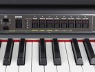 SEVEN Crumar  virtual modeling electronic piano SEVEN, 73 keys, with legs and sustain pedal