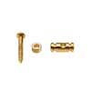 SH-8-G Boston  string retainer, cilinder model, height 6.5mm, with spacer and screw, gold