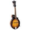 SMF740VS SX  mandolin F-style, solid top, with bag, vintage sunburst