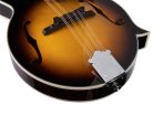 SMF760VS SX  mandolin F-style, solid top, with bag, vintage sunburst