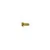 SS-18-G Boston  switch bolt, 3,0x 5mm, 12pcs, dome head, metric M3, gold