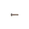 SS-20-N Boston  switch bolt, 3,4x12mm, 12pcs, dome head, 6-32 thread for USA lever switches, nickel