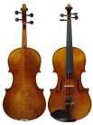 STA17E165 Scott Cao Conservatory viola 16.5" (42.0cm), European maple and spruce, antique varnish