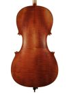 STC15034 Scott Cao Student cello outfit 3/4, ebony fingerboard, ebony fitting, bag and bow